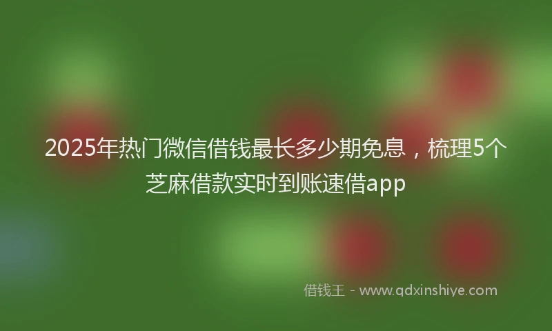 2025年热门微信借钱最长多少期免息，梳理5个芝麻借款实时到账速借app