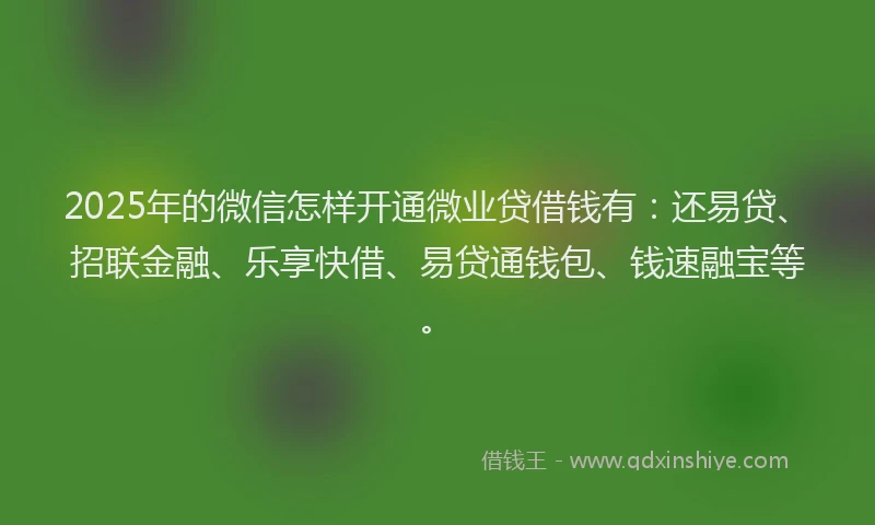 2025年的微信怎样开通微业贷借钱有：还易贷、招联金融、乐享快借、易贷通钱包、钱速融宝等。