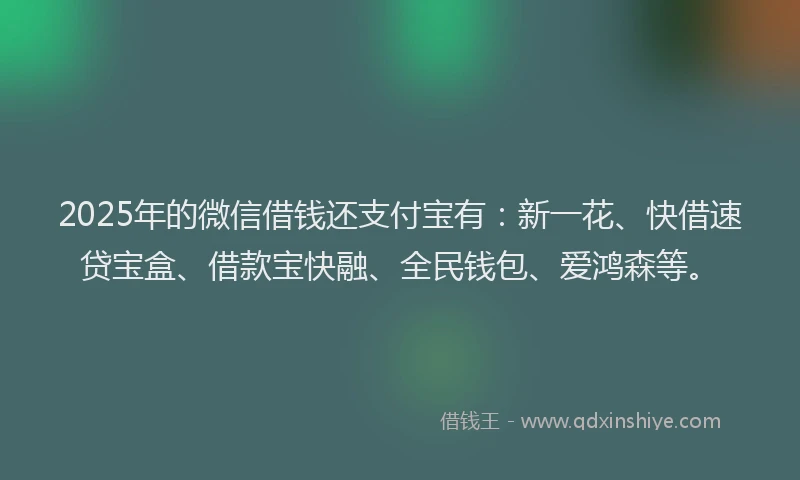 2025年的微信借钱还支付宝有：新一花、快借速贷宝盒、借款宝快融、全民钱包、爱鸿森等。