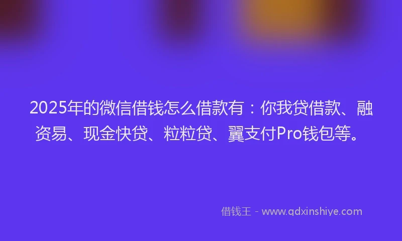 2025年的微信借钱怎么借款有：你我贷借款、融资易、现金快贷、粒粒贷、翼支付Pro钱包等。