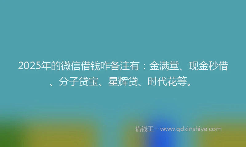 2025年的微信借钱咋备注有：金满堂、现金秒借、分子贷宝、星辉贷、时代花等。