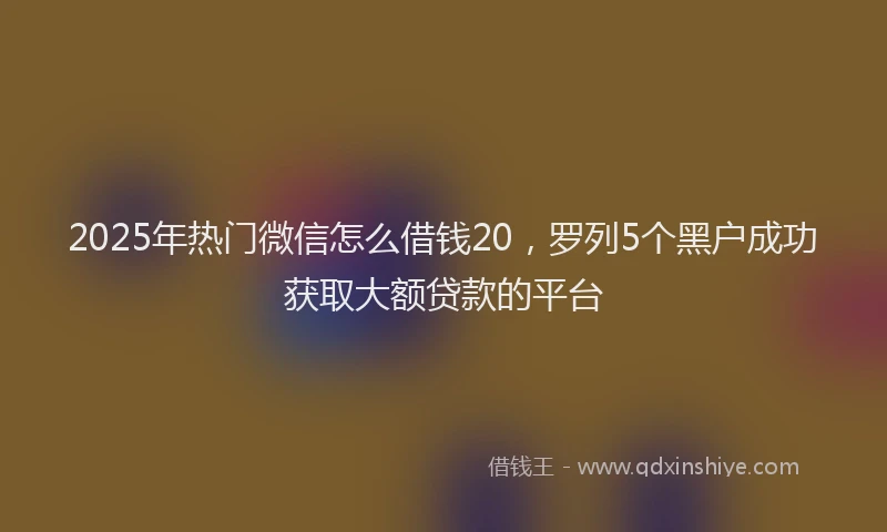 2025年热门微信怎么借钱20，罗列5个黑户成功获取大额贷款的平台