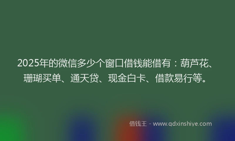 2025年的微信多少个窗口借钱能借有：葫芦花、珊瑚买单、通天贷、现金白卡、借款易行等。