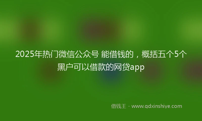 2025年热门微信公众号 能借钱的，概括五个5个黑户可以借款的网贷app