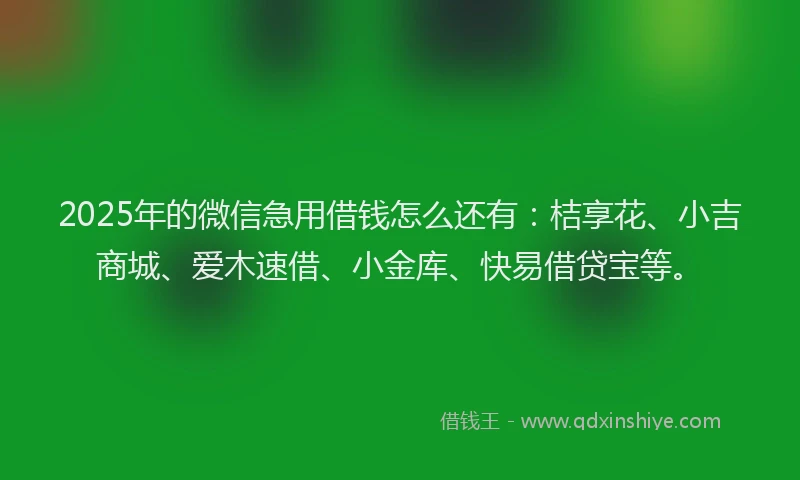 2025年的微信急用借钱怎么还有：桔享花、小吉商城、爱木速借、小金库、快易借贷宝等。
