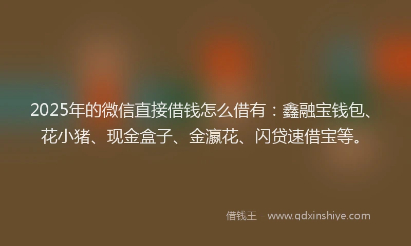 2025年的微信直接借钱怎么借有：鑫融宝钱包、花小猪、现金盒子、金瀛花、闪贷速借宝等。