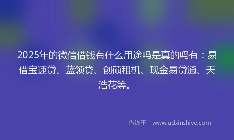 2025年的微信借钱有什么用途吗是真的吗有：易借宝速贷、蓝领贷、创硕租机、现金易贷通、天浩花等。