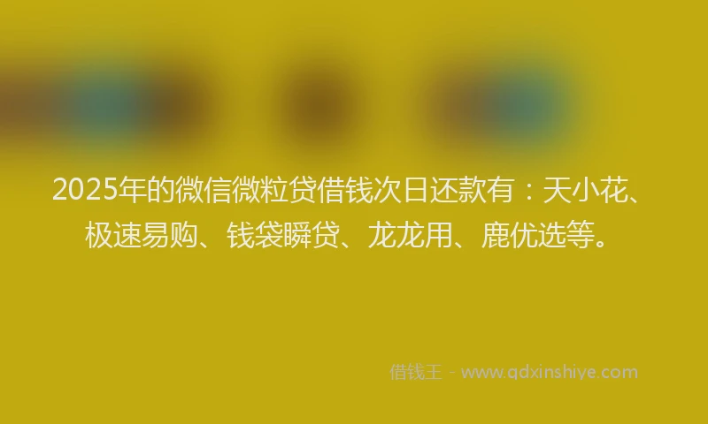 2025年的微信微粒贷借钱次日还款有：天小花、极速易购、钱袋瞬贷、龙龙用、鹿优选等。