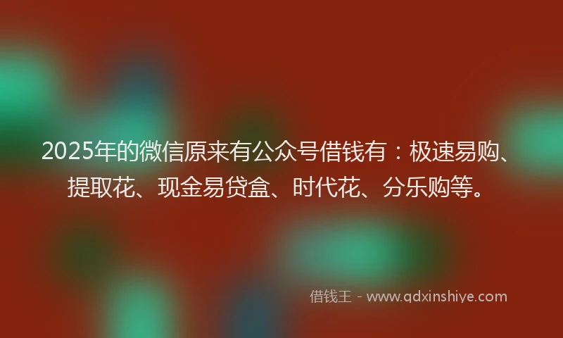 2025年的微信原来有公众号借钱有：极速易购、提取花、现金易贷盒、时代花、分乐购等。