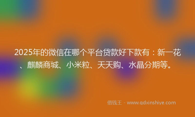 2025年的微信在哪个平台贷款好下款有：新一花、麒麟商城、小米粒、天天购、水晶分期等。
