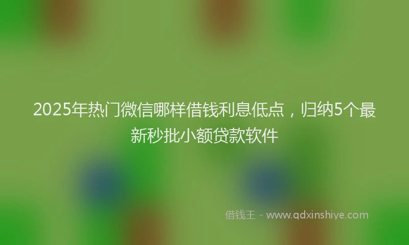 2025年热门微信哪样借钱利息低点，归纳5个最新秒批小额贷款软件