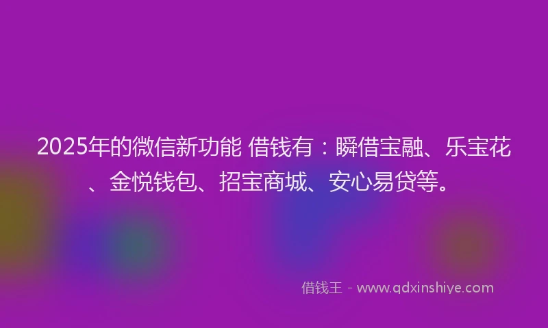 2025年的微信新功能 借钱有：瞬借宝融、乐宝花、金悦钱包、招宝商城、安心易贷等。