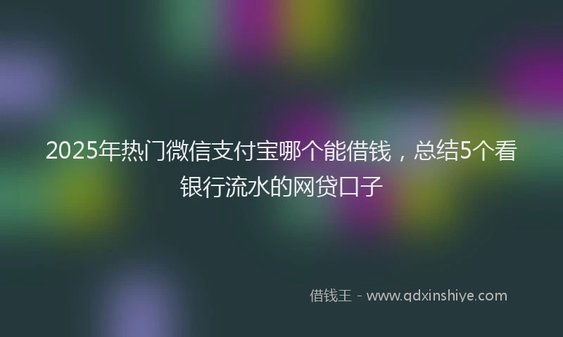 2025年热门微信支付宝哪个能借钱，总结5个看银行流水的网贷口子