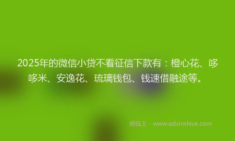 2025年的微信小贷不看征信下款有：橙心花、哆哆米、安逸花、琉璃钱包、钱速借融途等。