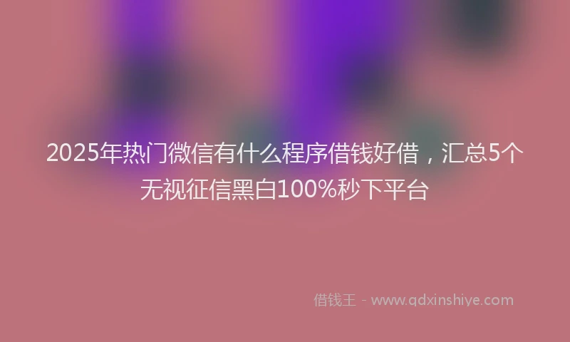 2025年热门微信有什么程序借钱好借，汇总5个无视征信黑白100%秒下平台