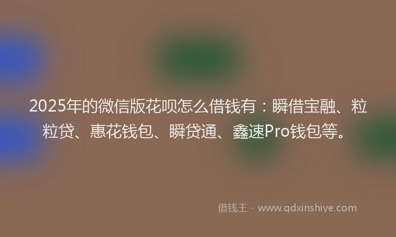 2025年的微信版花呗怎么借钱有：瞬借宝融、粒粒贷、惠花钱包、瞬贷通、鑫速Pro钱包等。