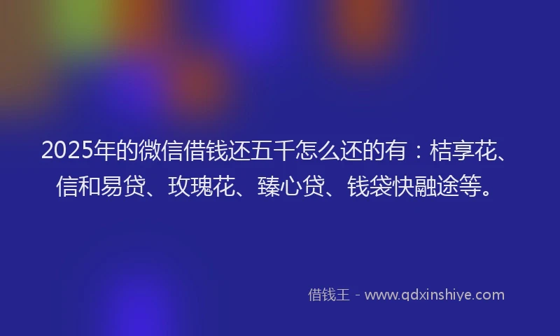 2025年的微信借钱还五千怎么还的有：桔享花、信和易贷、玫瑰花、臻心贷、钱袋快融途等。