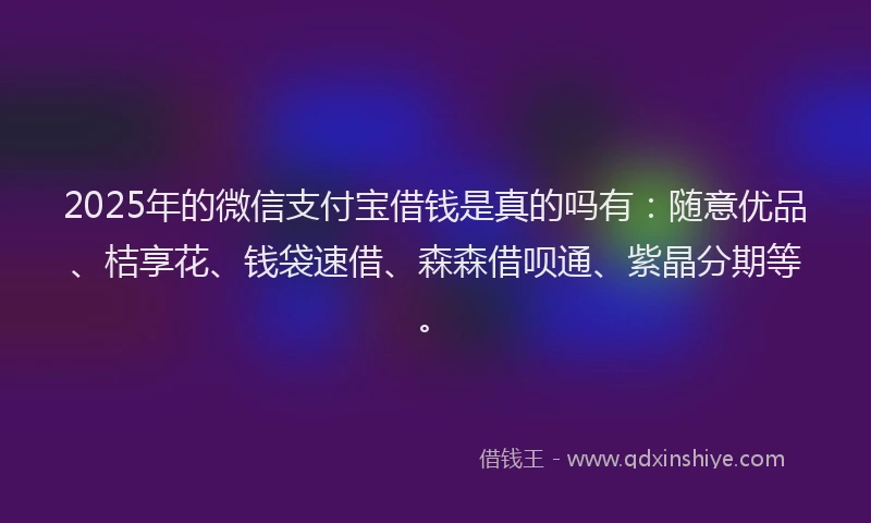 2025年的微信支付宝借钱是真的吗有：随意优品、桔享花、钱袋速借、森森借呗通、紫晶分期等。