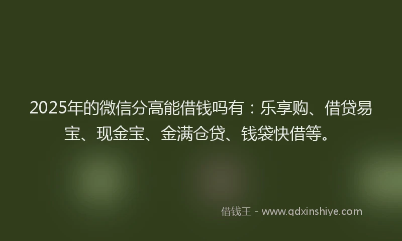2025年的微信分高能借钱吗有：乐享购、借贷易宝、现金宝、金满仓贷、钱袋快借等。