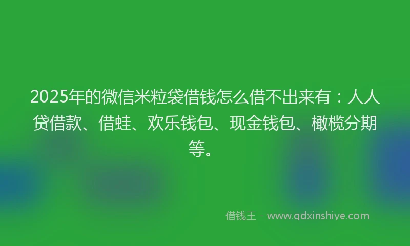 2025年的微信米粒袋借钱怎么借不出来有：人人贷借款、借蛙、欢乐钱包、现金钱包、橄榄分期等。