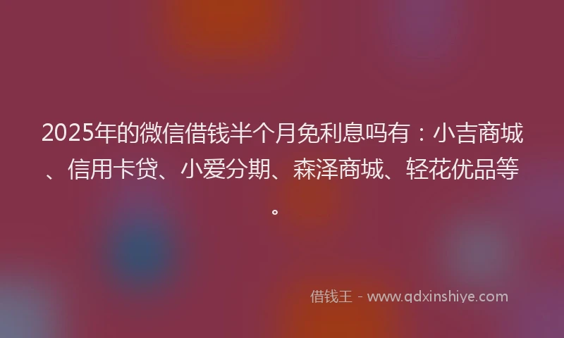 2025年的微信借钱半个月免利息吗有：小吉商城、信用卡贷、小爱分期、森泽商城、轻花优品等。