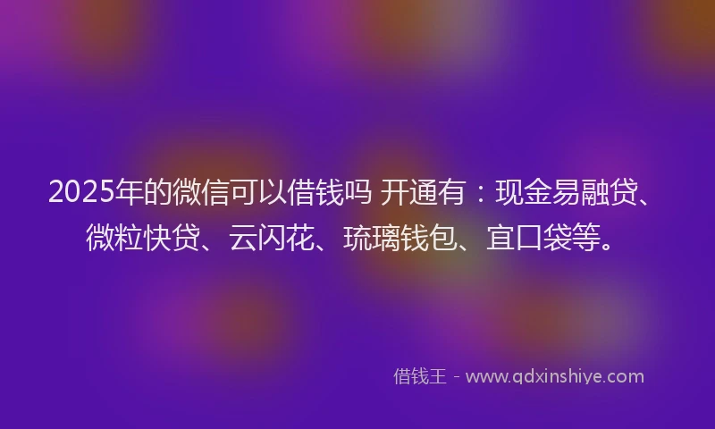 2025年的微信可以借钱吗 开通有：现金易融贷、微粒快贷、云闪花、琉璃钱包、宜口袋等。