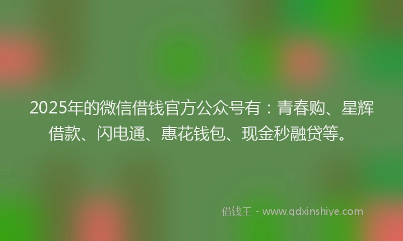 2025年的微信借钱官方公众号有：青春购、星辉借款、闪电通、惠花钱包、现金秒融贷等。