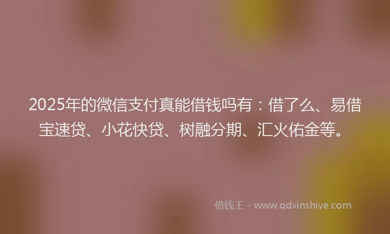 2025年的微信支付真能借钱吗有：借了么、易借宝速贷、小花快贷、树融分期、汇火佑金等。
