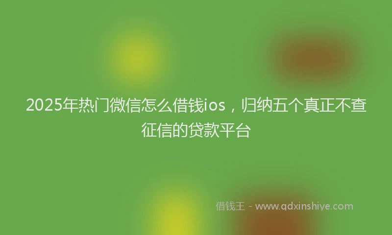 2025年热门微信怎么借钱ios，归纳五个真正不查征信的贷款平台