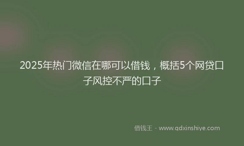 2025年热门微信在哪可以借钱，概括5个网贷口子风控不严的口子
