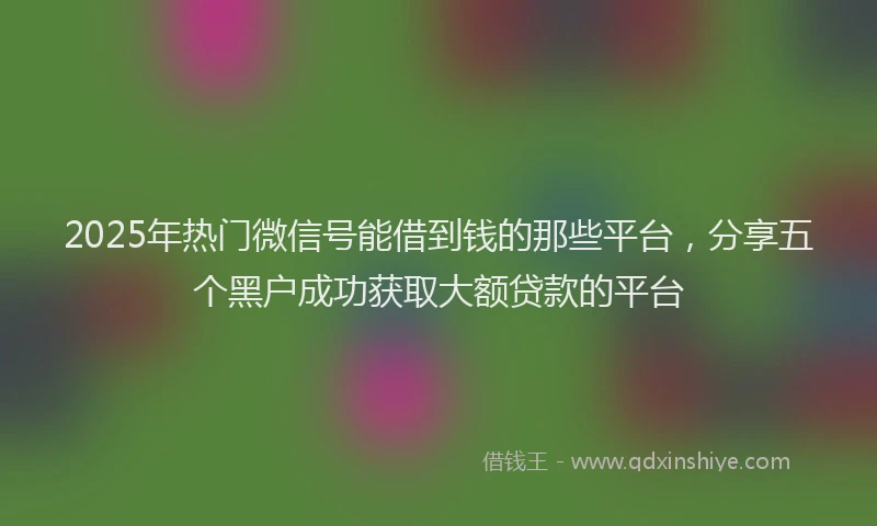 2025年热门微信号能借到钱的那些平台，分享五个黑户成功获取大额贷款的平台