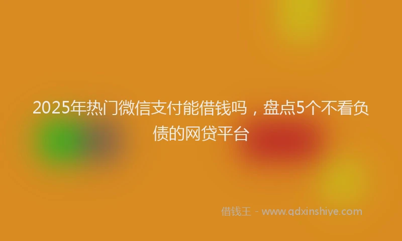 2025年热门微信支付能借钱吗，盘点5个不看负债的网贷平台