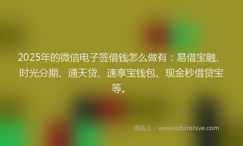 2025年的微信电子签借钱怎么做有：易借宝融、时光分期、通天贷、速享宝钱包、现金秒借贷宝等。