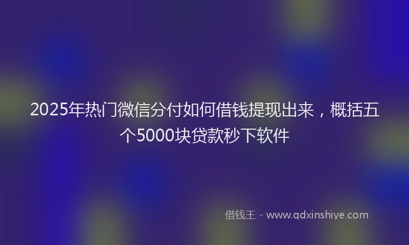 2025年热门微信分付如何借钱提现出来，概括五个5000块贷款秒下软件