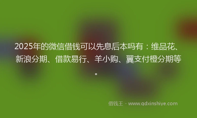 2025年的微信借钱可以先息后本吗有：维品花、新浪分期、借款易行、羊小购、翼支付橙分期等。