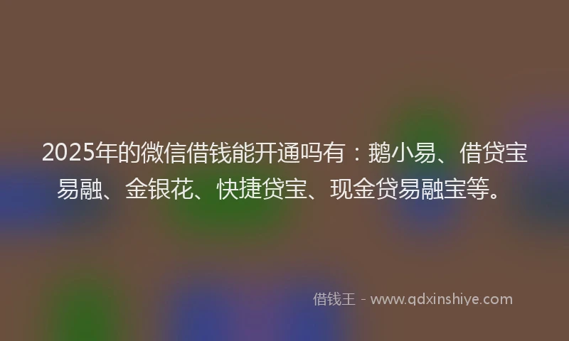 2025年的微信借钱能开通吗有：鹅小易、借贷宝易融、金银花、快捷贷宝、现金贷易融宝等。