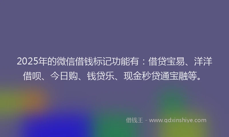 2025年的微信借钱标记功能有：借贷宝易、洋洋借呗、今日购、钱贷乐、现金秒贷通宝融等。