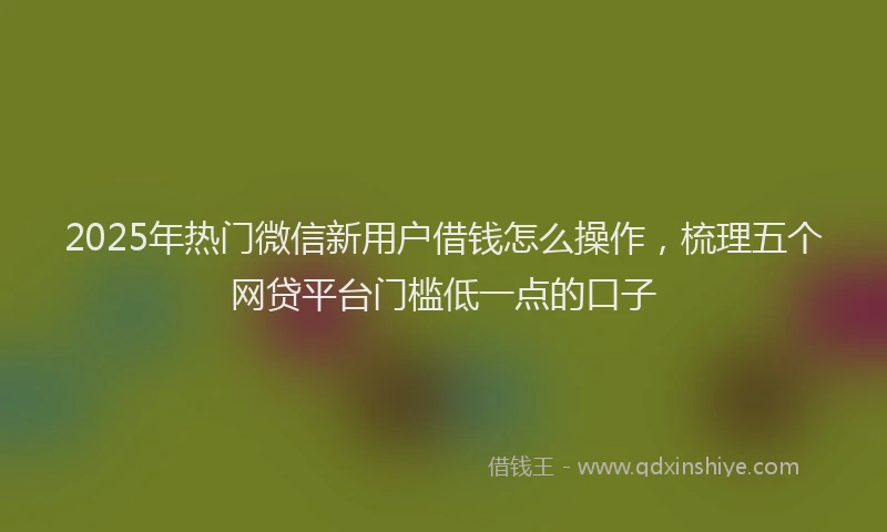 2025年热门微信新用户借钱怎么操作，梳理五个网贷平台门槛低一点的口子