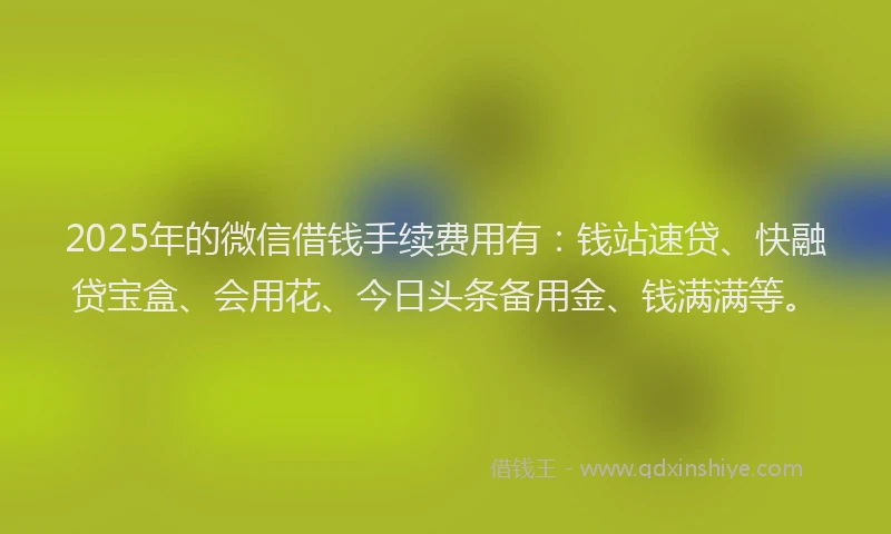 2025年的微信借钱手续费用有：钱站速贷、快融贷宝盒、会用花、今日头条备用金、钱满满等。