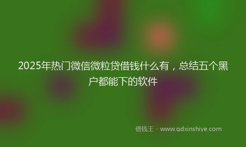 2025年热门微信微粒贷借钱什么有，总结五个黑户都能下的软件
