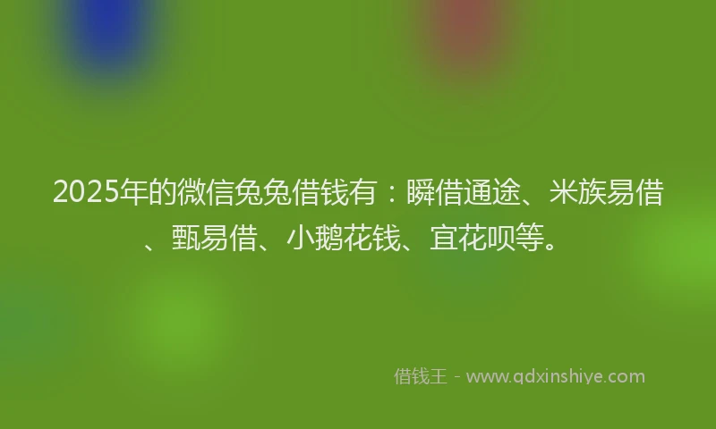 2025年的微信兔兔借钱有：瞬借通途、米族易借、甄易借、小鹅花钱、宜花呗等。