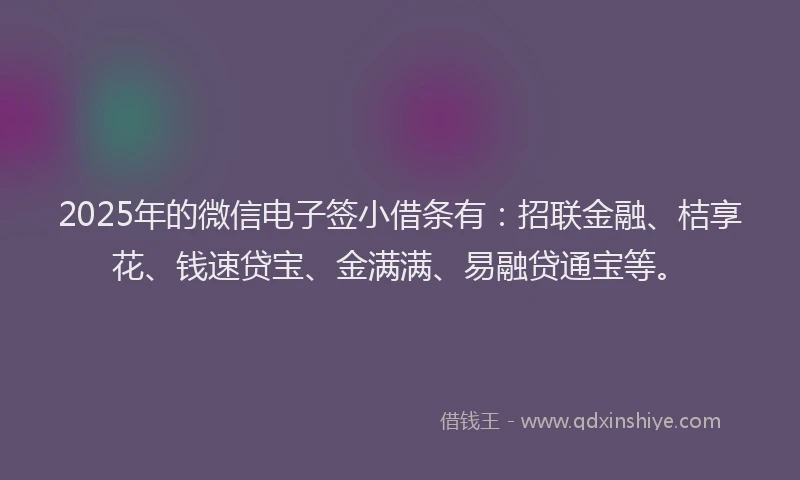 2025年的微信电子签小借条有：招联金融、桔享花、钱速贷宝、金满满、易融贷通宝等。
