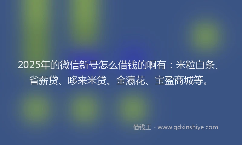 2025年的微信新号怎么借钱的啊有：米粒白条、省薪贷、哆来米贷、金瀛花、宝盈商城等。