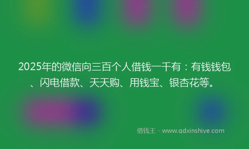 2025年的微信向三百个人借钱一千有：有钱钱包、闪电借款、天天购、用钱宝、银杏花等。
