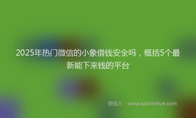 2025年热门微信的小象借钱安全吗，概括5个最新能下来钱的平台