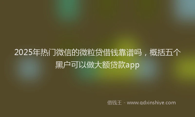 2025年热门微信的微粒贷借钱靠谱吗，概括五个黑户可以做大额贷款app