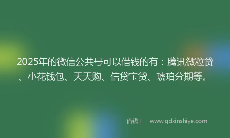 2025年的微信公共号可以借钱的有：腾讯微粒贷、小花钱包、天天购、信贷宝贷、琥珀分期等。