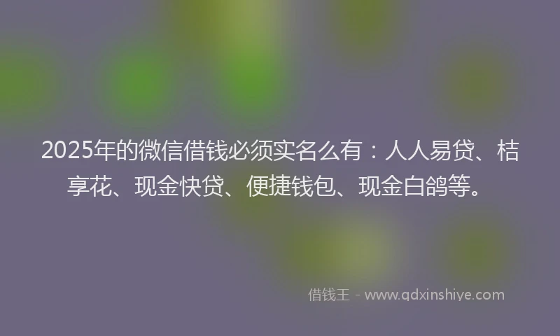 2025年的微信借钱必须实名么有：人人易贷、桔享花、现金快贷、便捷钱包、现金白鸽等。