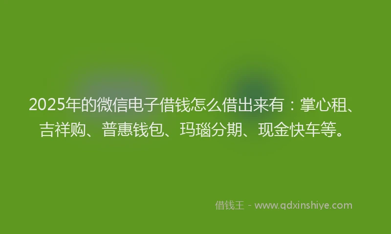 2025年的微信电子借钱怎么借出来有：掌心租、吉祥购、普惠钱包、玛瑙分期、现金快车等。