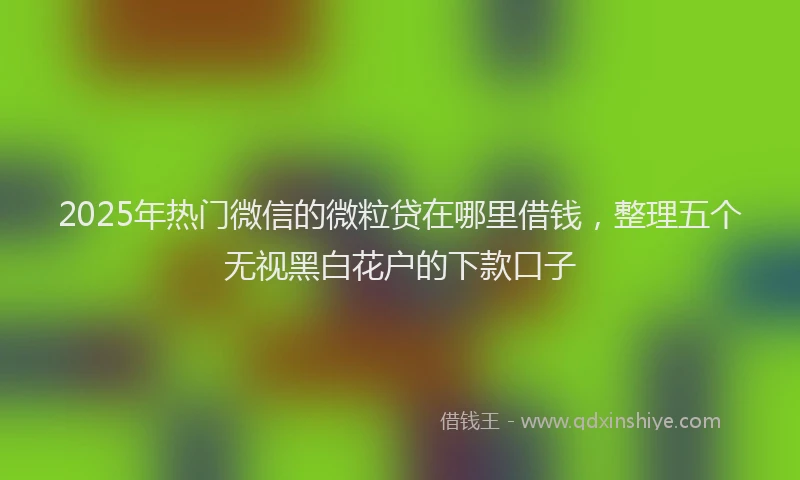 2025年热门微信的微粒贷在哪里借钱，整理五个无视黑白花户的下款口子